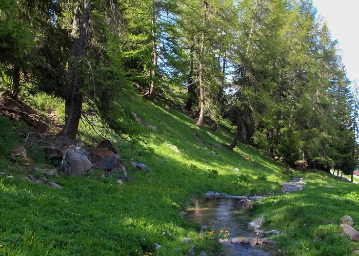 T2 Avec Terrasse, Proche Pistes, Parking Gratuit - Fr-1-755-21 * La Plagne